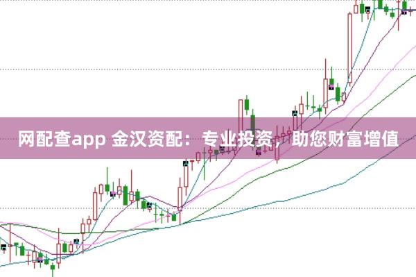 网配查app 金汉资配：专业投资，助您财富增值