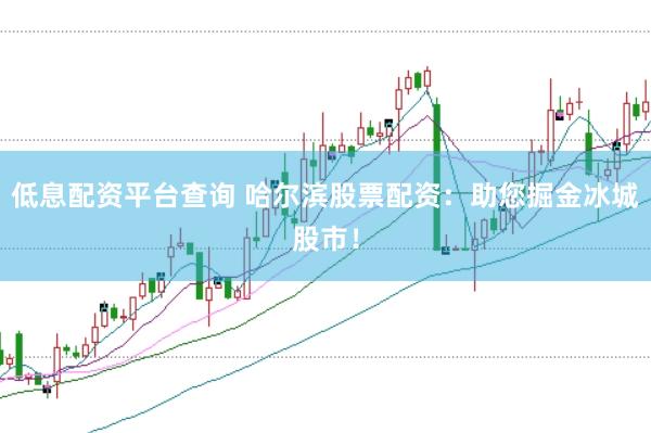 低息配资平台查询 哈尔滨股票配资：助您掘金冰城股市！