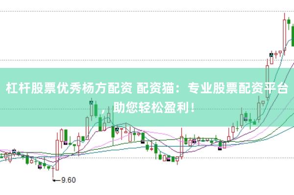 杠杆股票优秀杨方配资 配资猫：专业股票配资平台，助您轻松盈利！