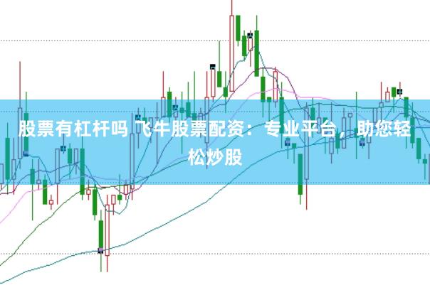 股票有杠杆吗 飞牛股票配资：专业平台，助您轻松炒股