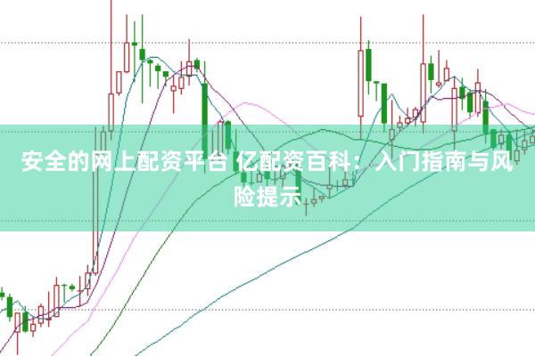 安全的网上配资平台 亿配资百科：入门指南与风险提示