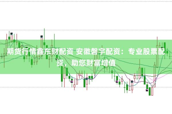 期货行情鑫东财配资 安徽磐宇配资：专业股票配资，助您财富增值