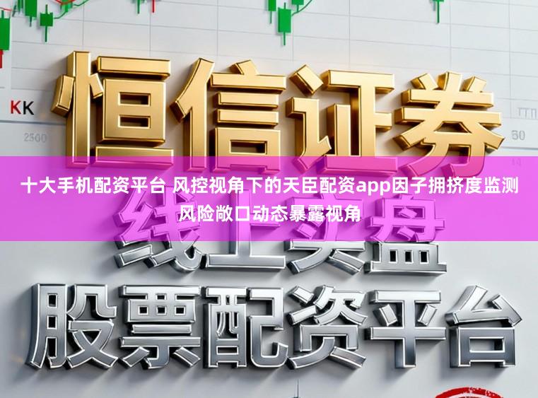 十大手机配资平台 风控视角下的天臣配资app因子拥挤度监测风险敞口动态暴露视角