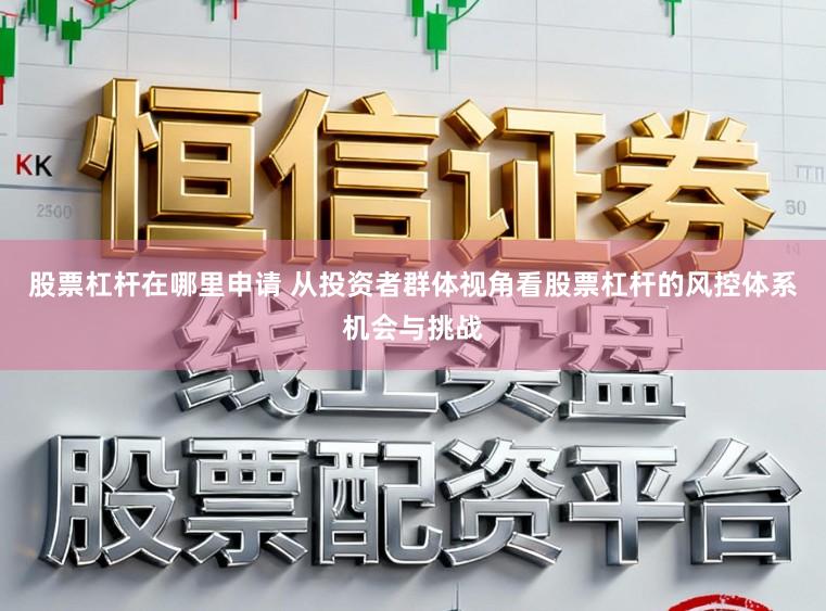 股票杠杆在哪里申请 从投资者群体视角看股票杠杆的风控体系机会与挑战